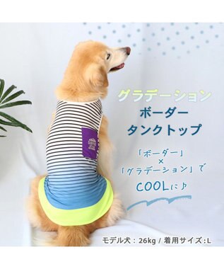 PET PARADISE 犬の服 夏 ひんやり クール メッシュ 接触冷感 虫よけ  グラデーション タンクトップ 【中型犬】【大型犬】クールマックスエコメイド 青