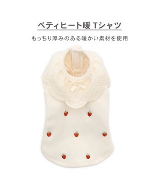 PET PARADISE ペットパラダイス ペティヒートDAN Tシャツ 《いちご柄》 中型犬 大型犬 オフホワイト