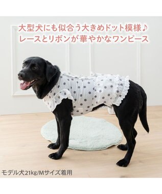 PET PARADISE ペットパラダイス 背中開き フリル ワンピース 《ドット柄》 中型犬 大型犬 ホワイト