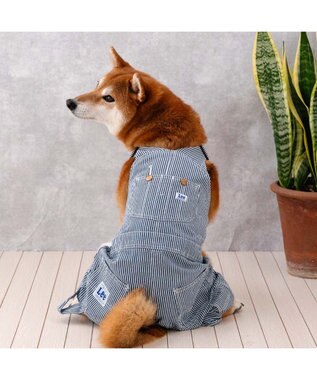 PET PARADISE Lee ヒッコリー オーバーオール 中型犬 大型犬 ネイビー×ホワイト