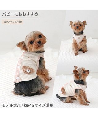 PET PARADISE ペットパラダイス くま やさしいベスト リーバーシブル 小型犬 ホワイト