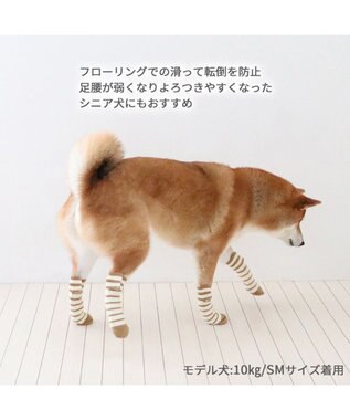 PET PARADISE ペットパラダイス makokoro スリット 靴下  《ボーダー》 SM 中型犬 ボーダー