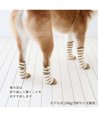 PET PARADISE ペットパラダイス makokoro スリット 靴下  《ボーダー》 SM 中型犬 ボーダー