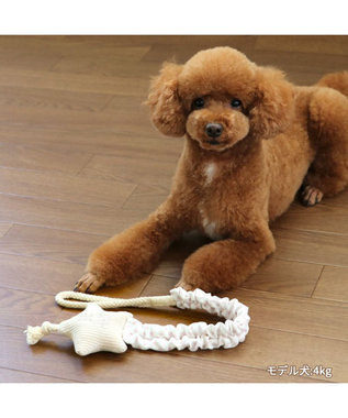 PET PARADISE ペットパラダイス 引っ張り トイ 《雲/星》 星