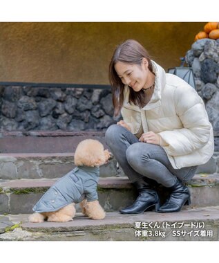 PET PARADISE ペットパラダイス 遠赤外線 綿入りコート 《青灰 》　小型犬 灰