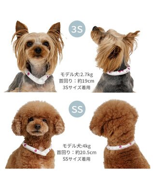 PET PARADISE ペットパラダイス 28℃クールリング 《いちご》 ３Ｓ 小型犬 いちご柄