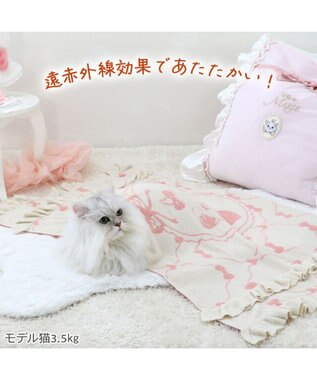 PET PARADISE ディズニー マリー 遠赤外線 猫 ブランケット ベージュ