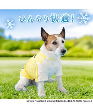 PET PARADISE ミニオン クールＴシャツ 《スポーツ柄》 小型犬 イエロー