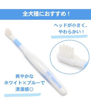 PET PARADISE 【ネット店限定】ペット用品  曲がる 歯ブラシ 2本セット  全犬種対応 白~オフホワイト