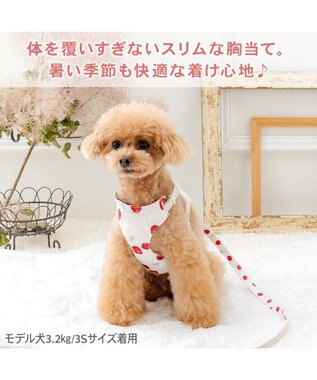 PET PARADISE ペットパラダイス スリム ハーネス＆リード 《苺総柄》 Ｓ 小型犬 ホワイト