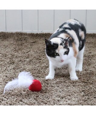 PET PARADISE ペットパラダイス 猫 羊毛ボール 羽付き 【単品】