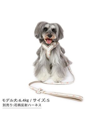 PET PARADISE 花柄 リード【ＳＳ~Ｓ】 小型犬 茶系