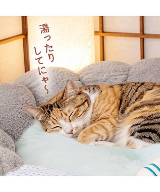 PET PARADISE ペットパラダイス 猫 湯ったり露天風呂 カドラ－ グレー