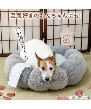 PET PARADISE ペットパラダイス 猫 湯ったり露天風呂 カドラ－ グレー