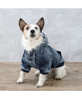 PET PARADISE J.PRESS デニム風 ロゴパーカー 小型犬 ネイビー