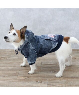 小型犬のプルパーカー 黒 44330225_r.jpg