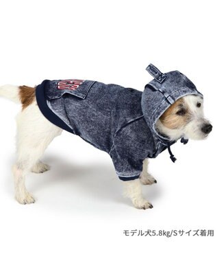 太い犬さま　専用ページ imgrc0081294650.jpg?fitin=720:720