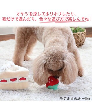 PET PARADISE 犬 おもちゃ 知育 ノーズワーク プチケーキ 白～オフホワイト
