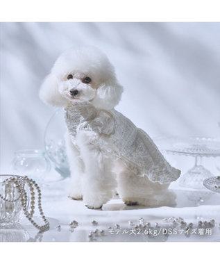PET PARADISE cherircouture くしゅくしゅ ワンピース 小型犬 ホワイト