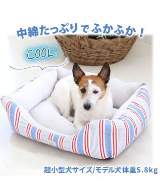 犬 春夏 クール 接触冷感 四角カドラーベッド ｍ 57cm 45cm ボーダー ブルー ピンク 青 桃 犬 猫 ベッド マット 小型犬 介護 おしゃれ かわいい ふわふわ あごのせ Pet Paradise 通販 雑貨とペット用品の通販サイト マザーガーデン ペットパラダイス