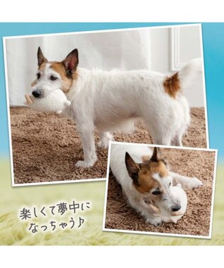 PET PARADISE ペットパラダイス 干支未 おやすみ トイ ホワイト