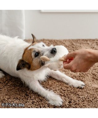 PET PARADISE ペットパラダイス 干支未 おやすみ トイ ホワイト
