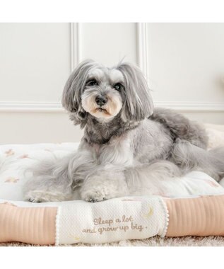 PET PARADISE ペットパラダイス くまさん カドラー 《おやすみ柄》 Ｌ モカ