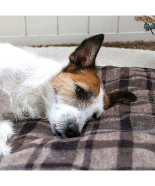 PET PARADISE ペットパラダイス 遠赤外線 ボアマット 《 チェック柄 》 (80×60cm) チェック柄