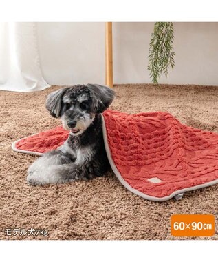 PET PARADISE ペットパラダイス アランボア ブランケット レッド