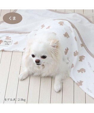 PET PARADISE ペットパラダイス クールケット 《くま柄》 小型犬 くま柄
