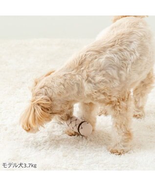 PET PARADISE ディズニー バンビ ミスバニー ダンベル トイ ベージュ