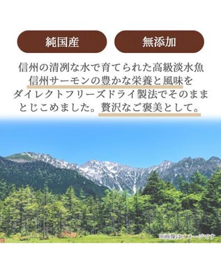 PET PARADISE ペットパラダイス プレミアムフード フリーズドライ 信州サーモン -