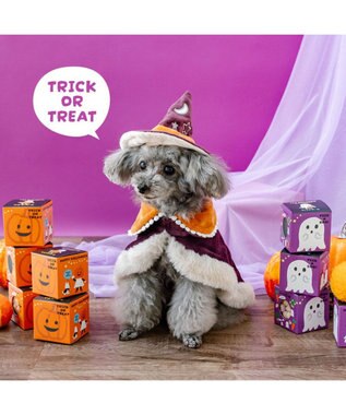 PET PARADISE ペットパラダイス 魔法つかいマント 小型犬 パープル
