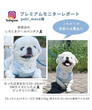 PET PARADISE クールネック バンダナ《 ボタニカル/ しろくま/シフォン襟》 保冷剤付き 【中型犬】【大型犬】 しろくま