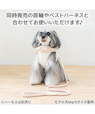 PET PARADISE ペットパラダイス ロープ リード ピンク　４Ｓ～３Ｓ ピンク