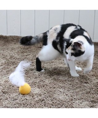 PET PARADISE ペットパラダイス 猫 羊毛ボール 羽付き 【単品】