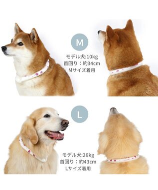 PET PARADISE ペットパラダイス 28℃クールリング 《いちご》 M 大型犬 いちご柄