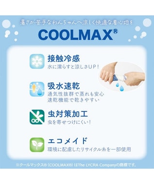 PET PARADISE ペットパラダイス エコメイド 天竺 タンクトップ 《蜂mix》 小型犬 イエロー