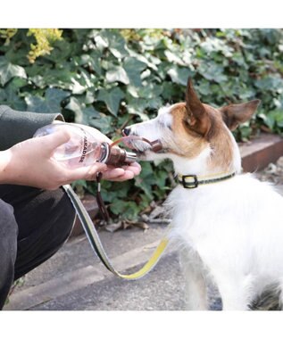 PET PARADISE 犬用品 ペットグッズ お散歩  お水携帯ボトル（茶）220ｍＬ 茶系