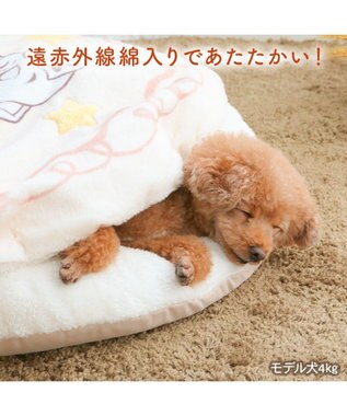PET PARADISE ディズニー 101匹わんちゃん くつろぎマット Ｍ ベージュ