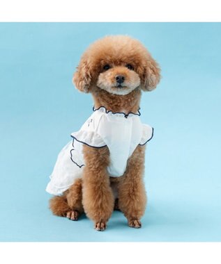PET PARADISE ペットパラダイス フロッキー お花 ワンピース 《ホワイト》 小型犬 ホワイト