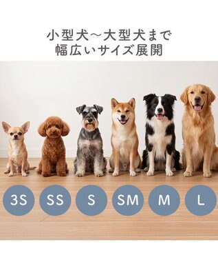 PET PARADISE ペットパラダイス バレエ スリット シューズ ３Ｓ -
