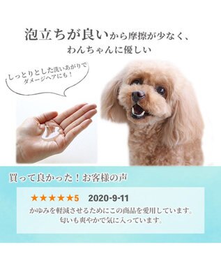 PET PARADISE ペットパラダイス  薬用 イオウ シャンプー 300mL  国産 -