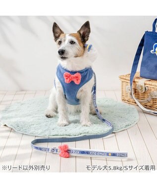 PET PARADISE ディズニー ドナルドダック リード ４Ｓ～３Ｓ ブルー