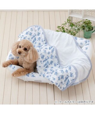 PET PARADISE ペットパラダイス クールケット 《トワルドジュイ》 小型犬 ホワイト×ブルー