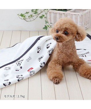 PET PARADISE ディズニー 101匹わんちゃん クールケット 小型犬 ブランケット