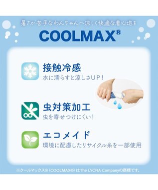 PET PARADISE リサとガスパール エコメイド シトラス ワンピース 中型犬 ホワイト×イエロー