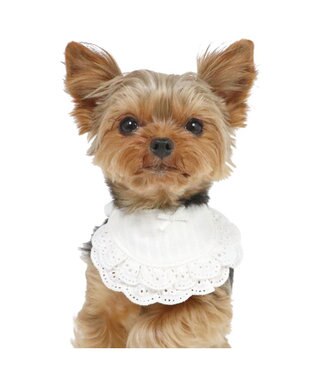 PET PARADISE ペットパラダイス フリルスタイ 小型犬 ホワイト