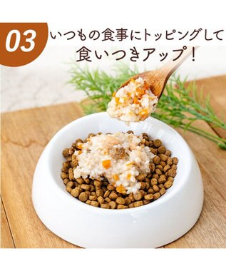 PET PARADISE 愛犬にやさしい スープごはん 鮭 0