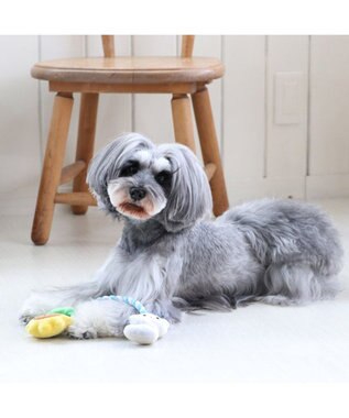 PET PARADISE 犬 トイ TOY ペットパラダイス しろくま ロープトイ 水色